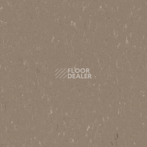 Линолеум Forbo Marmoleum Solid Piano 3631-363135 otter фото 1 | FLOORDEALER